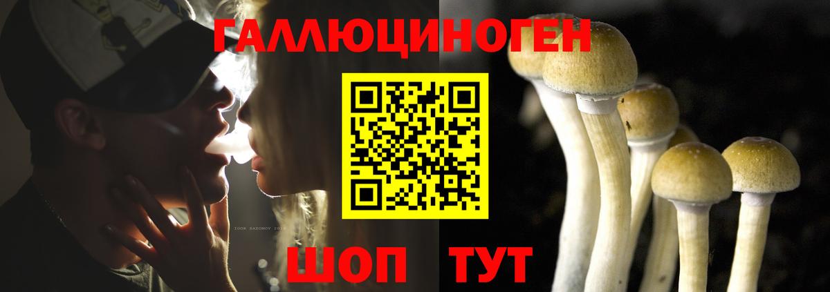 Галлюциногенные грибы Psilocybe Тавда