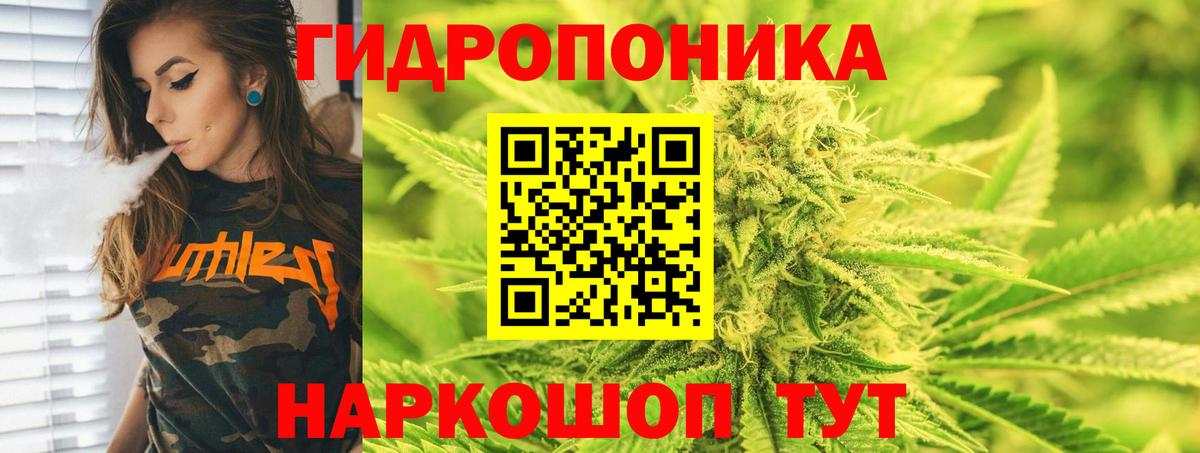 Тавда  Бошки марихуана THC 21%  Марихуана тримм  Вход с VPN  Бошки марихуана тримм 